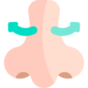 rinoplastia icon