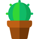 cactus icon