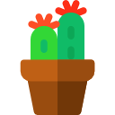 cactus icon