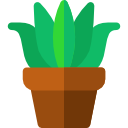 aloe vera icon