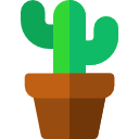 cactus icon