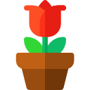 rosa icon