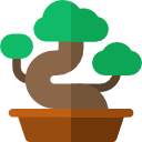 bonsai icon