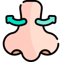 rinoplastia icon