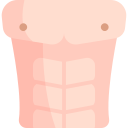 les abdominaux 