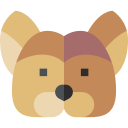 yorkshire terrier icon