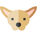 chihuahua icon