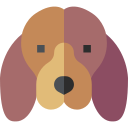 perro tejonero icon