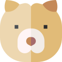 chow chow icon