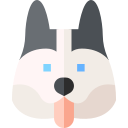 husky siberiano icon