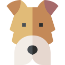 foxterrier icon