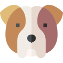 buldog icon