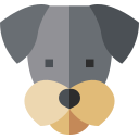 schnauzer icon