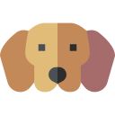 perro tejonero icon