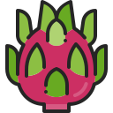 dragon de fruta icon