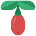 goji icon