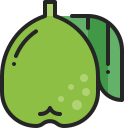 guayaba icon