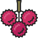 lychee icon