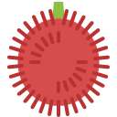 rambután icon