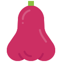 manzana rosa icon