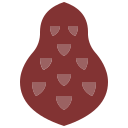 salak icon