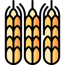 trigo icon