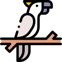 cacatúa icon