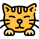 gato icon