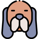 perro icon