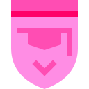 diploma icon