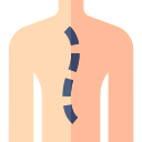 columna vertebral icon