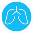 pulmones icon