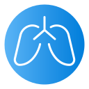 pulmones icon