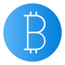 bitcoin icon