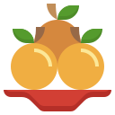 mandarina icon