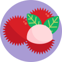 frutas exoticas icon