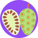 frutas exoticas icon