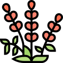 lavanda icon