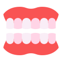 dentadura icon