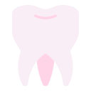 molar icon