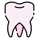 molar icon