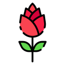 rosa icon