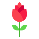 rosa icon