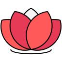 flor de loto icon