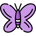 mariposa