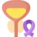 cancer de prostata icon