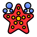 estrella de mar