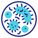 bacterias icon