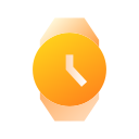 reloj icon