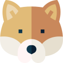 shiba inu icon